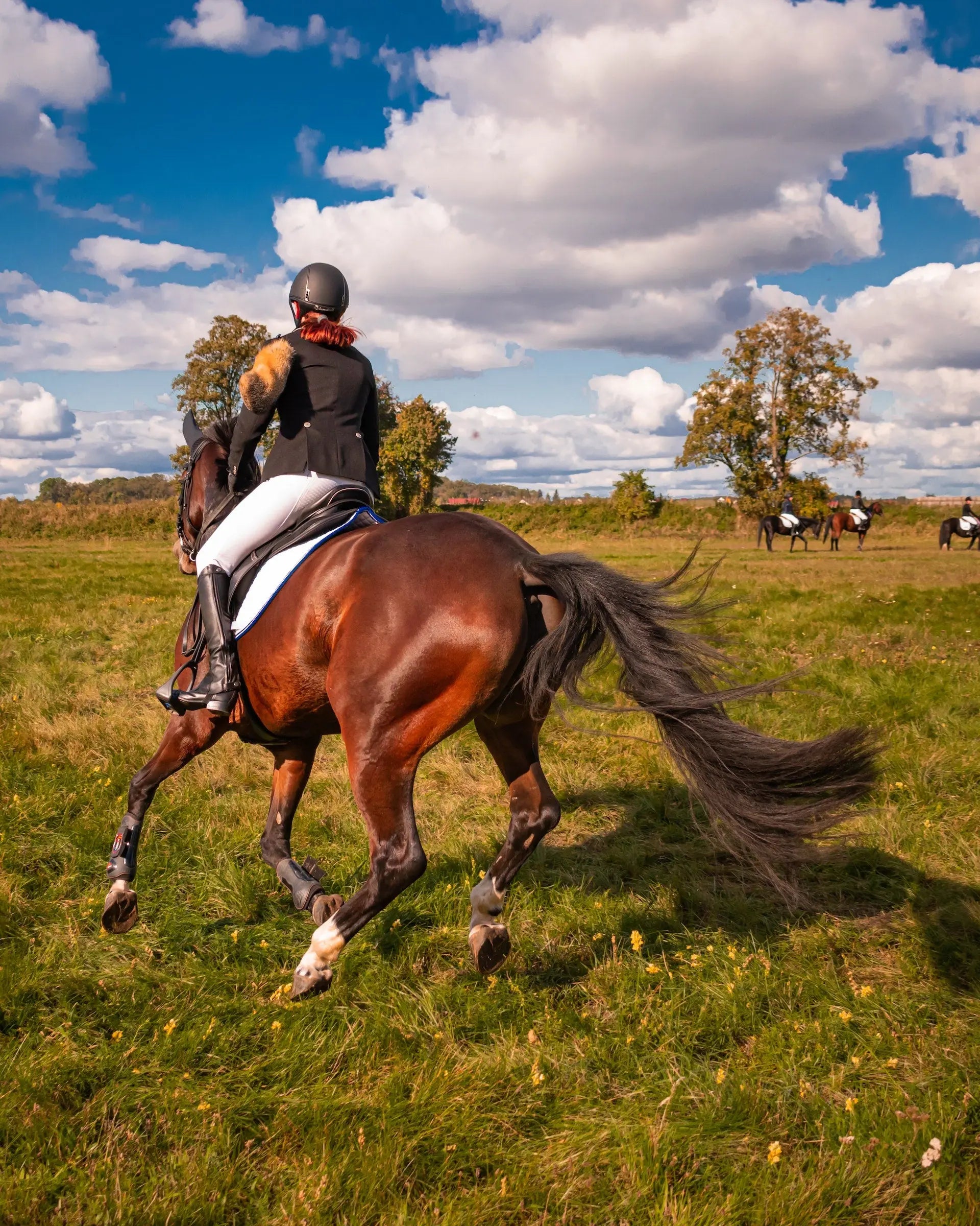 The Equestrian Angle