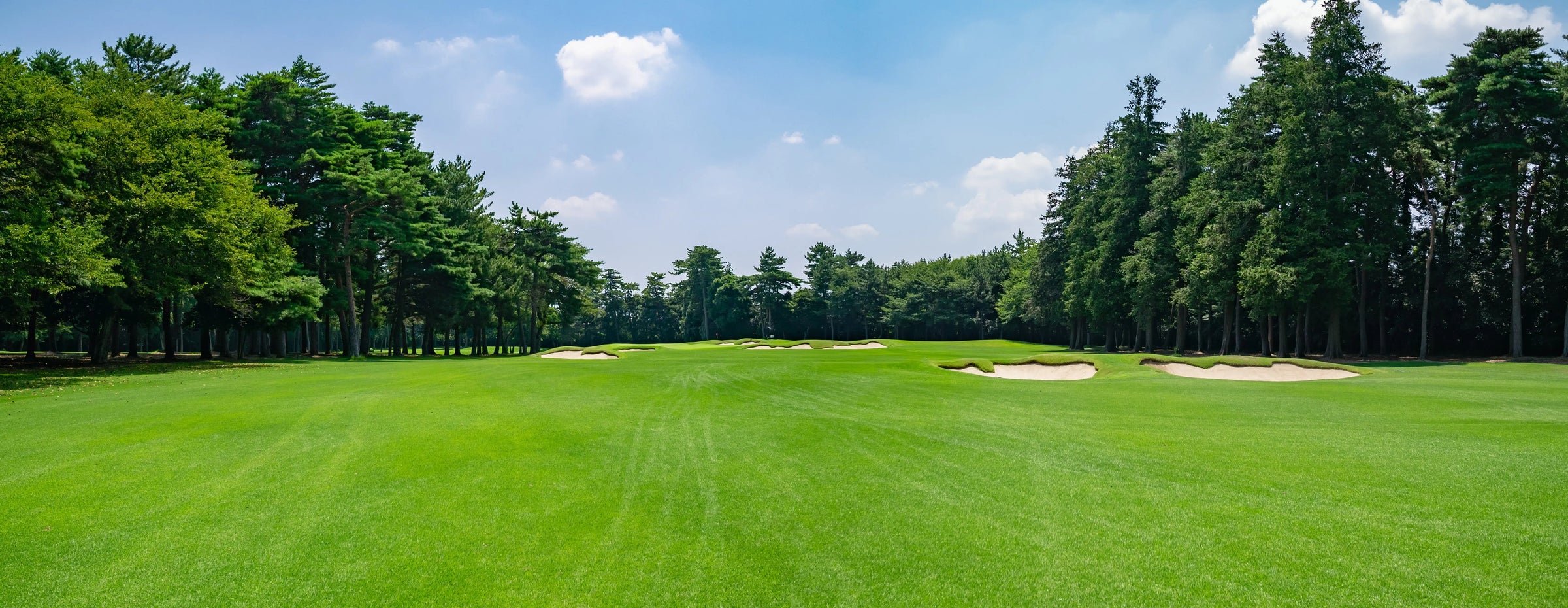 Favorite Products for Golfers