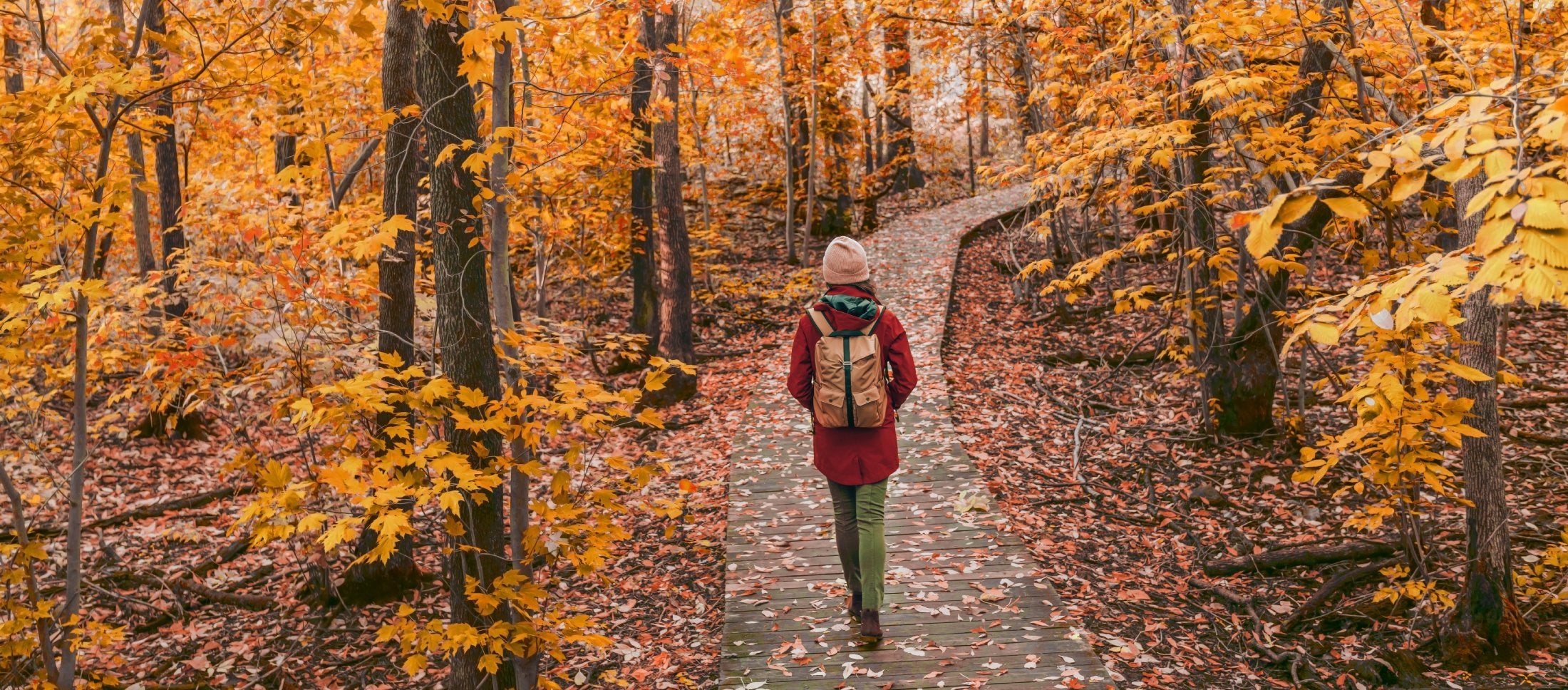 Hiking favorites